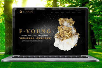 ��ݸ�������ﱦʯ